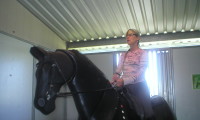 a new horse