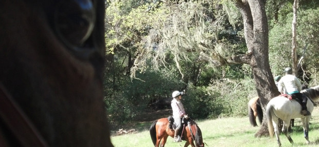 Neubee’s first official trail ride w/ COE MAU